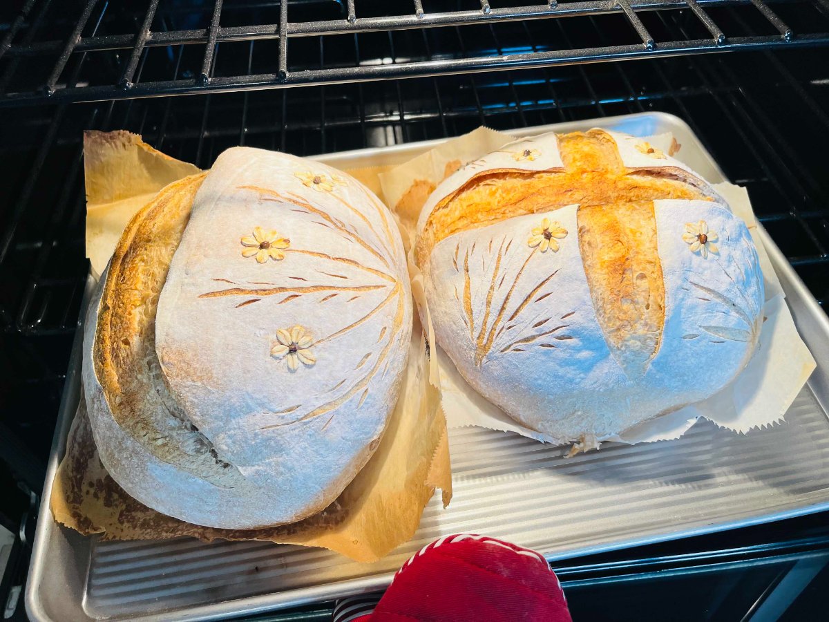 Hybrid Whole Wheat & White image