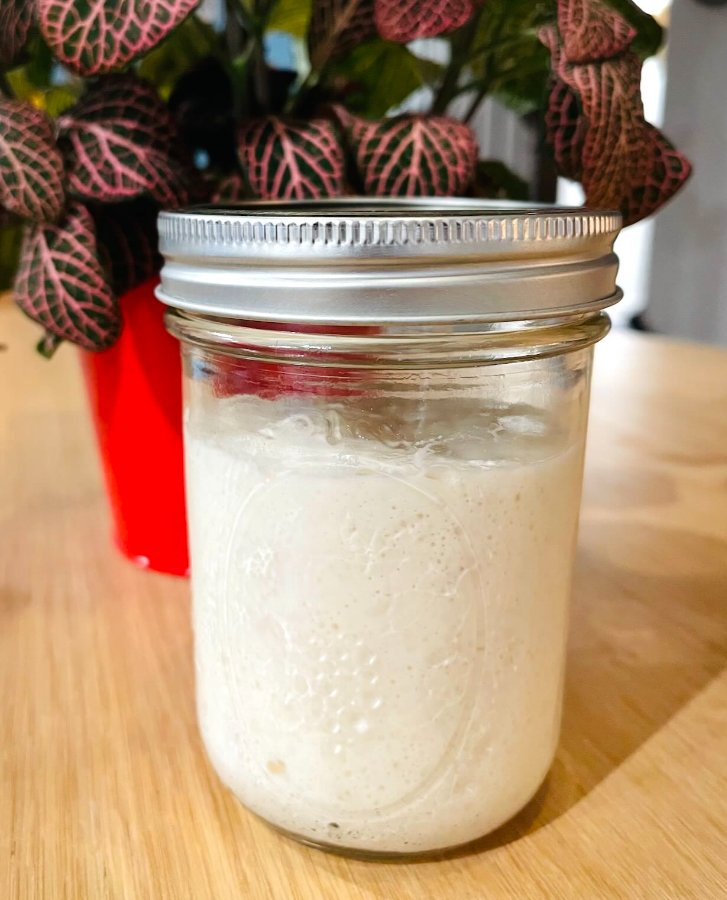 Chimi's starter image