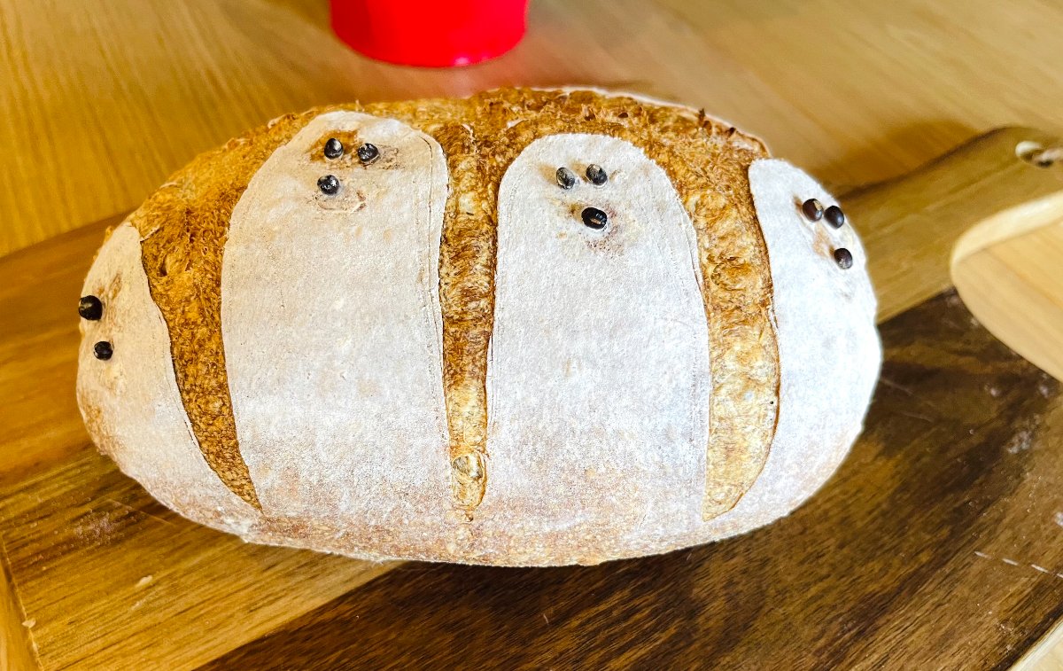 Chimi's Mini Sour Dough image